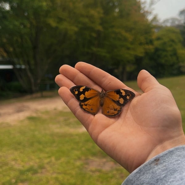 IMG-20250623-WA0000-1