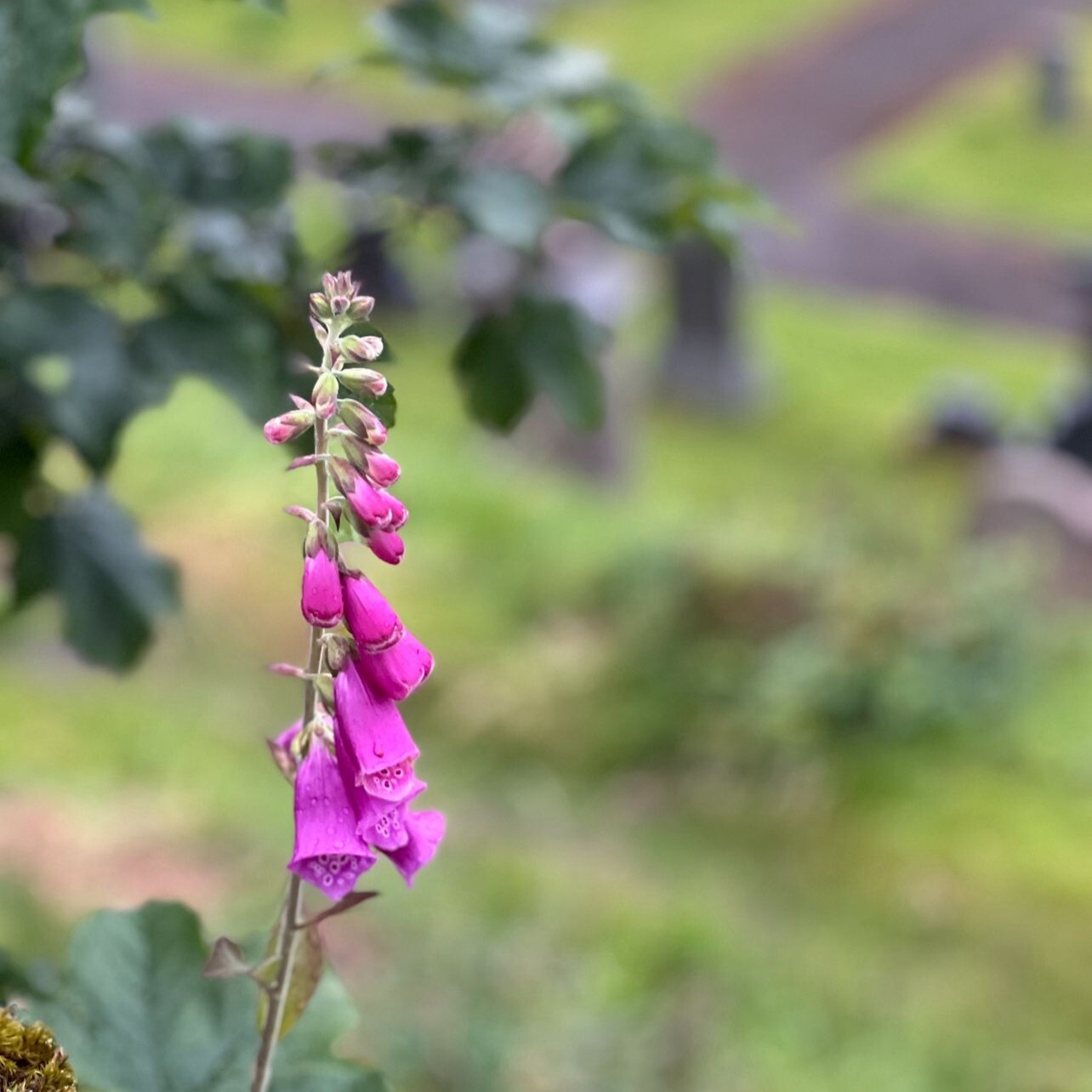 IMG-20250630-WA0003-1 IMG-20250630-WA0003-1