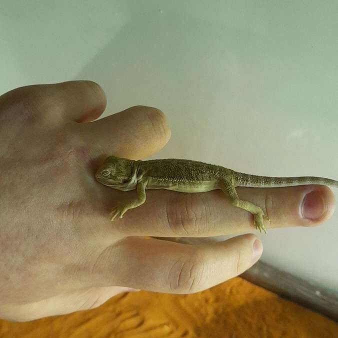 IMG_20250626_160948-1 IMG_20250626_160948-1