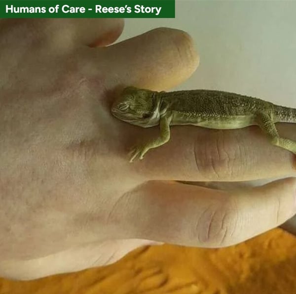 Reese Story Reese Story